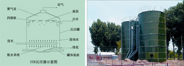 USR反應??02.jpg USR反應??02.jpg